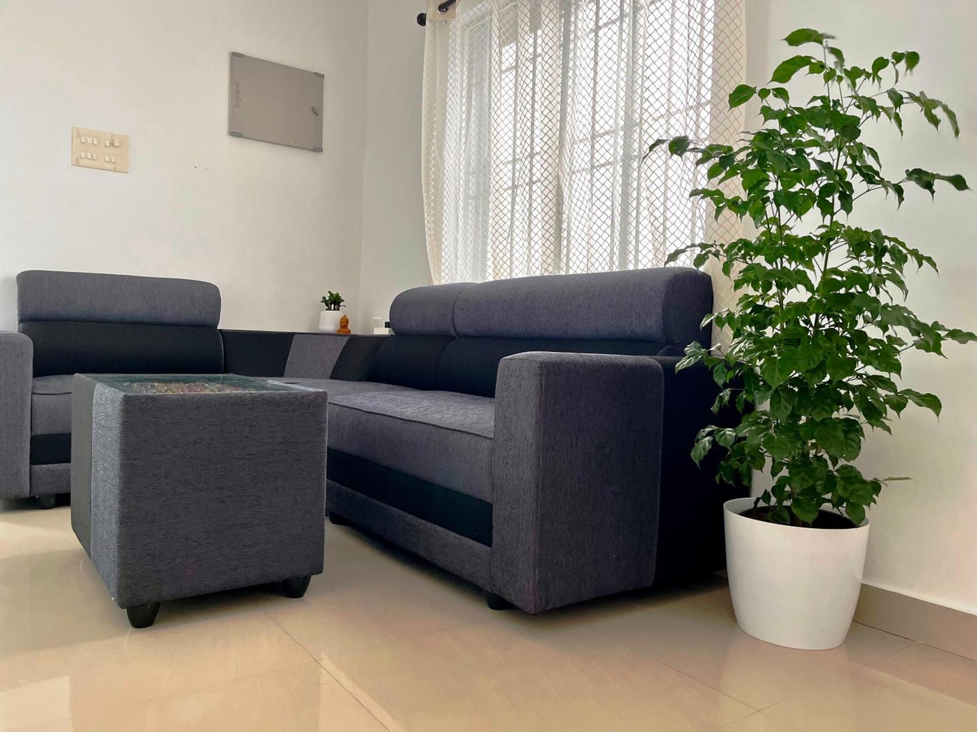 Segundo Home Kochi Extérieur photo